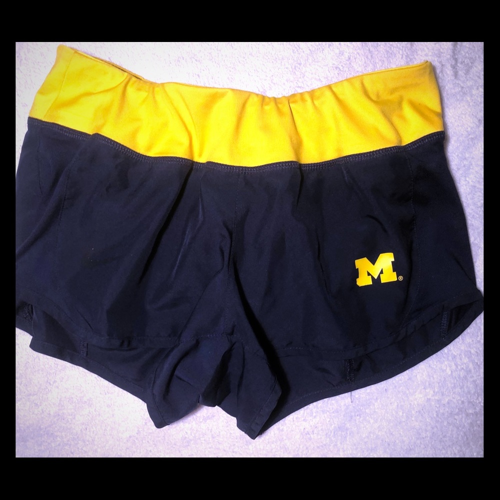Nike Dri-Fit Michigan shorts